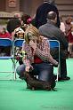 Crufts2011_2 967